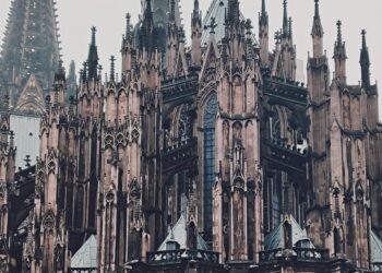 pexels-didsss-2801032